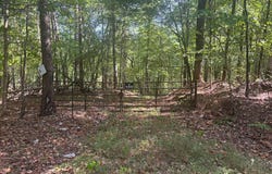 5421 DIXIE SPRINGS Rd, Oakman, AL 35579