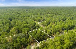 NE 156TH CT, WILLISTON, FL 32696
