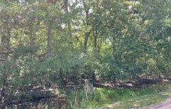 County Road 750, Thornton, TX 76687