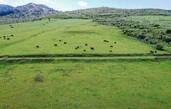 6746 N CAPITOL Rd, Preston, ID 83263