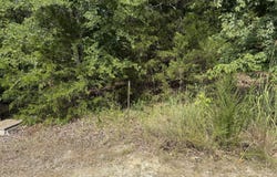 55 Cattail Court, Branson West, MO 65737