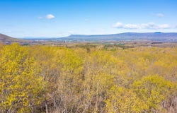 DOVE LANDING DR, ELKTON, VA 22827