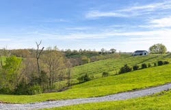 1580 Sardis Road Sardis Road, Mount Olivet, KY 41064