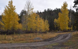 Forest Service Rd 450, Grants, NM 87020