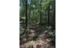 Fallow Road, Lamont, FL 32336