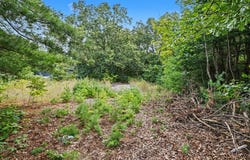 76360 County Road 378, Covert, MI 49043