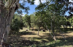 521 E CLAY AVENUE, BRANDON, FL 33510