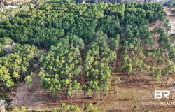 Hemley Road, Coden, AL 36523