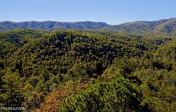 3738 Oliver Way, Sevierville, TN 37876
