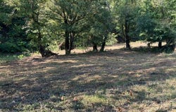 001 River Road, Walton, WV 25286