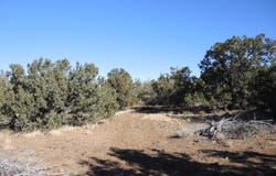 627 E Hualpai Trail, Williams, AZ 86046