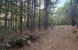 Chimney Rock, Shirley, AR 72153