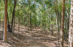 642 Nuckols Road, Seale, AL 36875