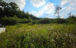 0WP Hilsinger Rd, Harford, NY 13803