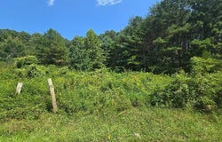 Black Creek Rd, Oneida, TN 37841