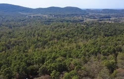 TBD #2 N Chaparral, Mena, AR 71953