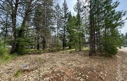 N Old Stage Road, Cave Junction, OR 97523