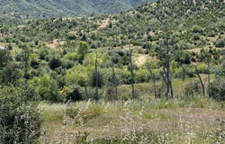 15934 Cindee, Redding, CA 96001