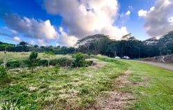 UILAMA PL, Kapaa, HI 96746