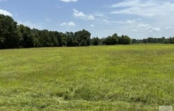 4221 W FM 114, Avery, TX 75554