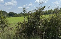 Tallabogue Road, Forest, MS 39074