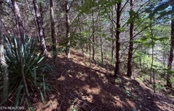 1033 Crown Ridge Lane, Powell, TN 37849