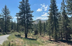 Raymond View lot: 2, Markleeville, CA 96120