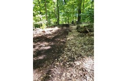 Holland Dr, O'Hara, PA 15238