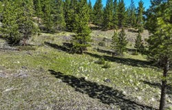 Tract 29A Castle View Drive, Victor, MT 59875