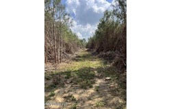 Honeysucker Road, Camden, MS 39045