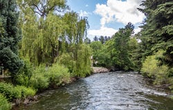 1365 SUMAC DR, Logan, UT 84321