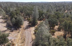 NSA Dersch Road, Shingletown, CA 96088