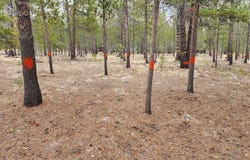 57626 CULTUS Ln, Sunriver, OR 97707