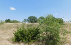 178 Twisted Creek Drive, Gustine, TX 76455