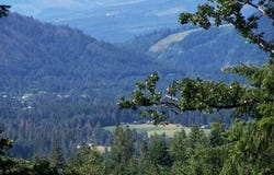 Lyons Rd, WhiteSalmon, WA 98672