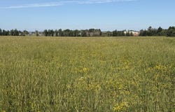 S Manila Rd, Pickford, MI 49774