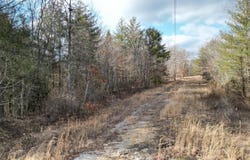 566 William Branch Rd, Lancing, TN 37770