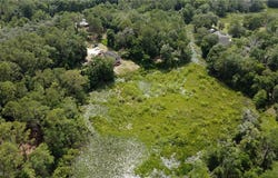 34160 Haas Drive, Webster, FL 33597