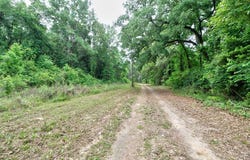 618 CR 2619, Alto, TX 75925