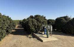 25389 Ave. 120, Porterville, CA 93257