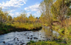 1 Cadence Ct, Berthoud, CO 80513