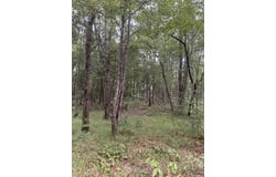 Hwy 43, Sunflower, AL 36581