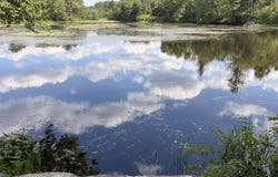 1147 Plainfield Pike, Sterling, CT 06373