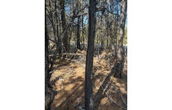 17123 Spring River Road, Bend, OR 97707