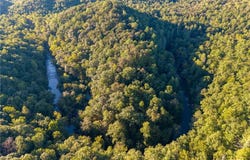 Lawrence Road, Dawsonville, GA 30534