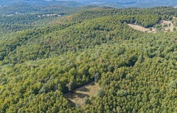 3268 Fire Break Trl, Flippin, AR 72634