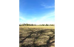 1391 County Road 331, Lexington, TX 78947