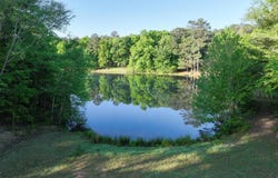 471 Rocky Way, Williamson, GA 30292