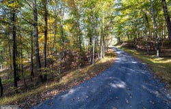 DAWN Drive lot: 330, BASYE, VA 22810