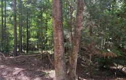 3 Samson Clements Loop Road, Berry, AL 35546
